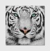 Oppidan Home "Snow Tiger" Acrylic Wall Art (40"H X 40"W)