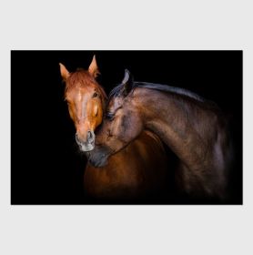 Oppidan Home "Horses Caressing" Acrylic Wall Art (32"H X 48"W)