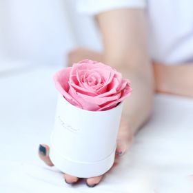 Thanksgiving Day Gift For Mother Flower Pot 1 A- A Rose Production Upgrade Small Size Gift Box (Option: White Pink Flower)