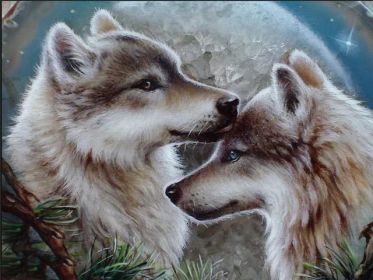 Couple Wolf Animal Landscape Diamond Painting (Option: Style22)