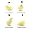 1pc Simulated Little Chick Figurine Lifelike Chicken Figurines Animal Figurine Realistic Chicken Photography Props Easter Supplies Easter Toy