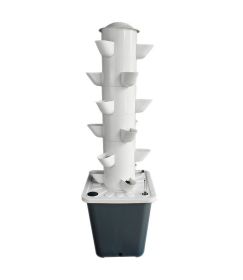 Vegetable Planting Machine With Plant Lamp (Option: White-10 Holes-US)